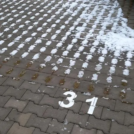 Designer At Pirin Sense *